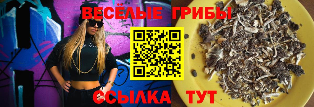 Псилоцибиновые грибы GOLDEN TEACHER  Вход с VPN  Назарово 